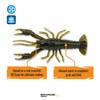 4D Craw 3" & 4" 6pcs| Ultra Realistic Look