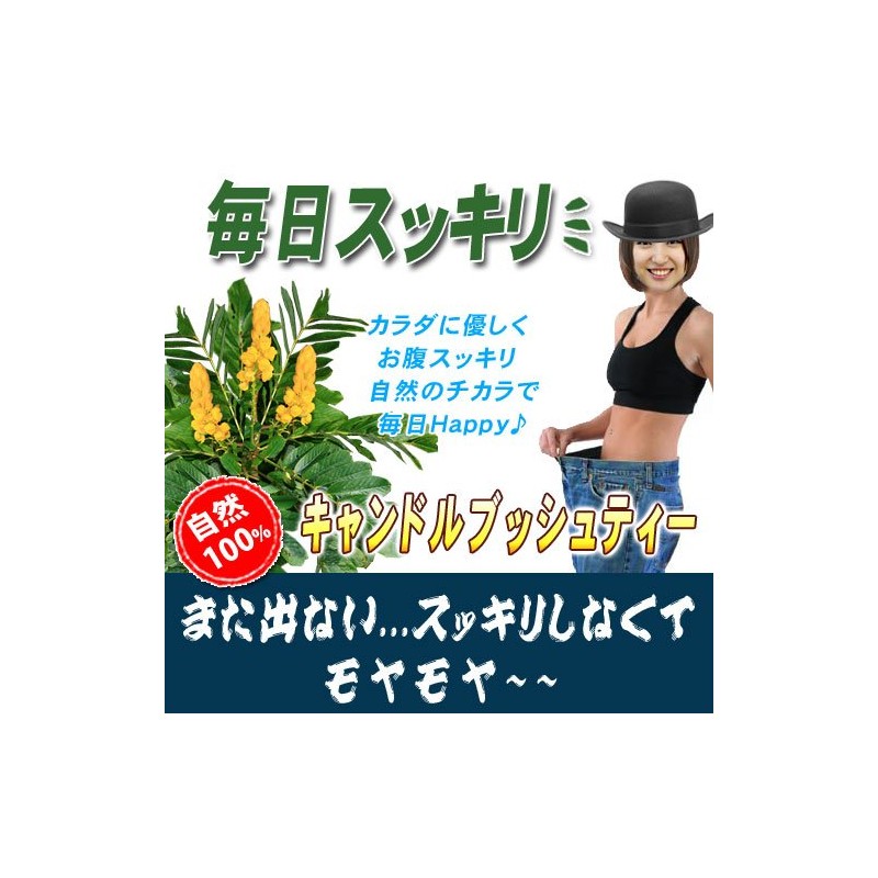 森のこかげ キャンドルブッシュ (2g×70p 内容量変更) (残留農薬検査済) ゴールデンキャンドル ハナセンナ ハーブTB