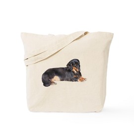 CafePress Black Long Hair Dachshund Tote Bag Reusable Natural Beige Canvas Shopping Bag
