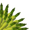 Brite Star 50-Count Greenapple Mini String Lights – 19.15 FT,