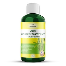 GARDENWISE Organic Premium Kelp Seaweed Fertilizer for Lucky Bamboo - Liquid Fertilizer - Hydroponics Fertilizer - Liquid Plant Food - Soil Enhancer - Natural Plant Food for Lucky Bamboo (8 OZ)