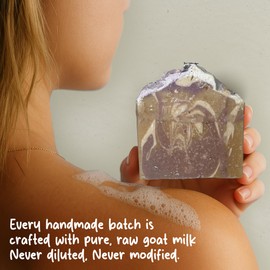 HushHush Farm Goat Milk Soap Bar for Face & Body | Lavender Soap with Essential Oils & Synthetic Fragrances | Moisturizing Vitamin-Rich Skincare – Lavender 3 Pack