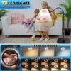 30X 10X Large Floor Magnifying Glass with Light and Stand,72