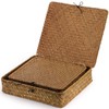 Elsjoy 2 Pack Seagrass Baskets with Lid, Wicker Storage Baskets