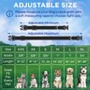 TECEUM Reflective Pet Collar – Black – S – Basic