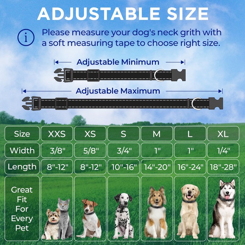 TECEUM Reflective Pet Collar – Black – S – Basic