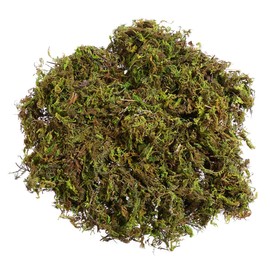 STOBAZA Moss Lichen in Bag - Realistic Green Plants for Diorama, Miniature Landscaping - DIY Scenery Model Decor for Train Sets, Home Office Wedding