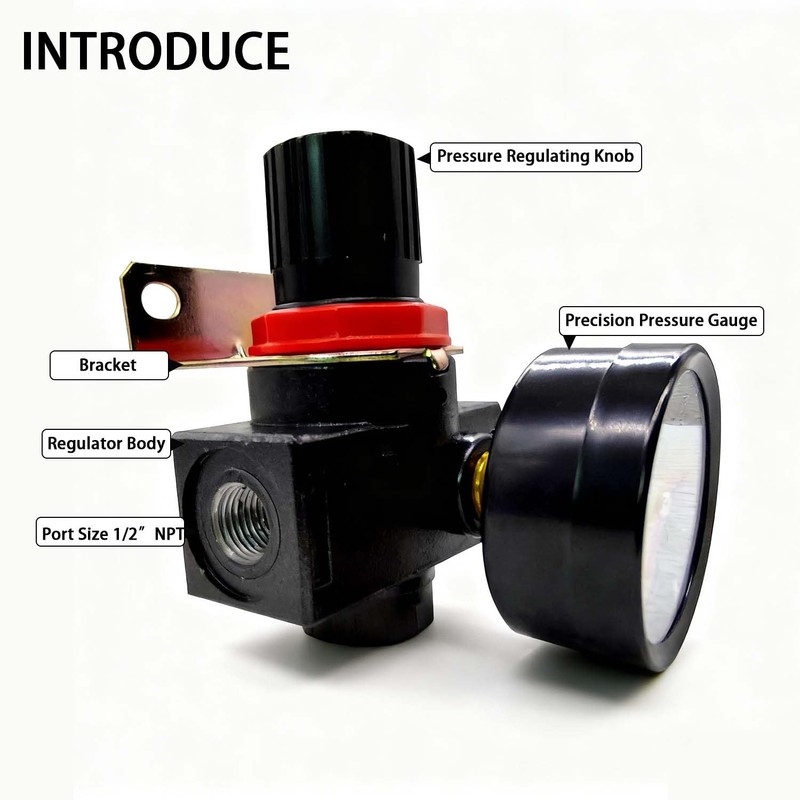 YSIL Air Compressor Pressure Regulator With Bracket and Gauge Female