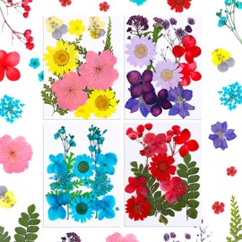 MWOOT Pack of 51 DIY Crafts Dried Flowers, Mix Flowers Petals, Yellow, Purple, Blue, Red, Pressed Flowers Leaves for Soaps Resin Pendant Making Decoration, Dried Flowers