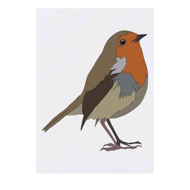 'Robin' Temporary Tattoo - Water Resistant, Skin-Safe, Non-Toxic Transfer (TO00037880)