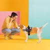 Dogline Unimax Dog Harness Vest with Do Not Pet Rubber