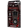 WINMAU Sicario 21 g Professional Tungsten Darts Set with Flights