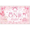 Luminora 72x43inch Fabric Miss Onederful 1st Birthday Backdrop Pink Bow