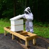 US APIARY 3 Layer Bee Suit with Fencing Veil One