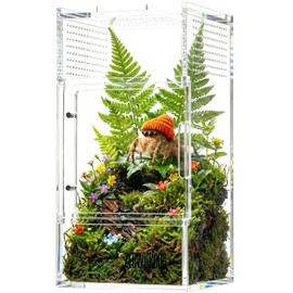 ZENWUKONG Jumping Spider Enclosure - Acrylic Terrarium Habitat for Spiders, Tarantulas, Snail, Mantis, Lizard, and Small Reptiles, Magnetic Doors (3x3x6 inch)