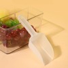 Dzrige Plastic Ice Scoop Kitchen Ice Scoop Candy Sugar Scoop