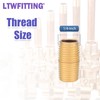 LTWFITTING Assortment Kit 1/8-Inch 1/4-Inch 3/8-Inch 1/2-Inch 3/4-Inch NPT Male
