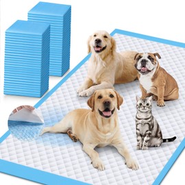 iweepet Enormous 37"x 54" Dog Training Potty Pads, Thicken Super Absorbent & Leak-Proof 6 Layers Puppy Pads 30 Counts, Disposable Dog Pee Pads Extra Large for Puppy, Surgery, Older, Cats, Rabbits