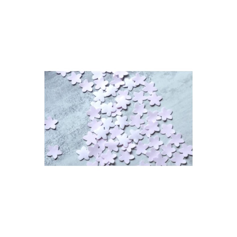 Magic Ray Floor Cleaner，Flower Slice，Deep Clean for all kinds of