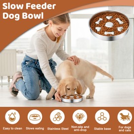 Dogs Metal Slow Feeder Bowl Dishes, Stainless Steel Dog Food Water Bowls with Non-Slip Pad, Fun Bloat Stop Pet Dog Water Bowl for Small & Medium Sized Dogs to Slow Down Eating (A)