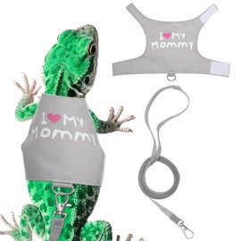 Bearded Dragon Harness and Leash Set, Cute Lizard Reptile Small Animal Harness Clothes Adjustable Lizard Reptiles Harnes with Short Leash, Small Animal Traction Rope Walking Vest Accessories Walking