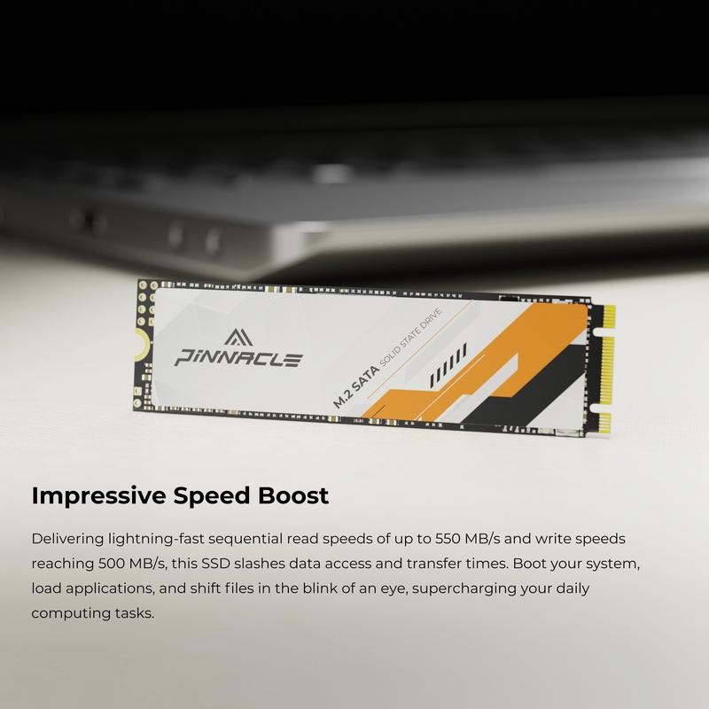 Timetec International Inc. PINNACLE GAMING M.2 SATA SSD - Capacity: