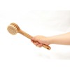 body brush round