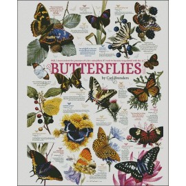 Ankicoleman Designs Butterfly Collection - DIY Chart Counted Cross Stitch Patterns Needlework DMC   - Printed