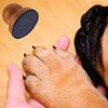 Arvintas Dog Nail File with 4Pcs Replaceable Sandpaper, Dog Scratch