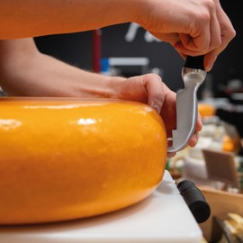 BOSKA Cuchillo de puntuación de queso Pro de 90 mm, calidad premium, acero alemán, colección 1896, para queso duro como parmesano o gouda, colección 1896