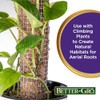 Better-Gro Premium Grade Orchid Moss - 100% Natural, Imported Sphagnum