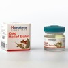 Himalaya Cold Relief Balm 10g x2SET(SH) - Basic / 히말라야 콜드 릴리프 밤 10g x2SET(SH) - 기본