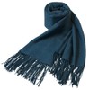 HOYAYO Pashmina Shawls and Wraps Winter Warm Soft Scarf for
