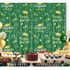 Graduation Party Decorations 2 Pack Foil Fringe Curtain Congrats Grad