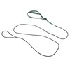 Bird Harness Leash Adjustable Elastic Flying Training Parrot Traction Rope