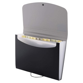 D.RECT Expanding File Folder Expandable Document Folders 12 Compartments A4 Black 007541