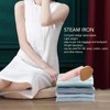 Micro Steam Iron Handheld Lightweight Portable Mini Steam Iron for