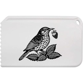 Azeeda 'Song Thrush & Strawberry' Plastic Ice Scraper (IC00037556)