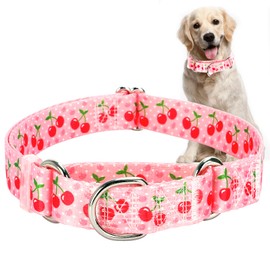 Martingale Dog Collar for Small Medium Large Pet Dogs- Pink Cherry No-Slip Escape Proof Choke No Pull Fruit Dog Collar for Male and Female Dogs Training & Walking L