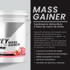 Whey Protein Mass Gainer Psn Suplemento Polvo Fresa