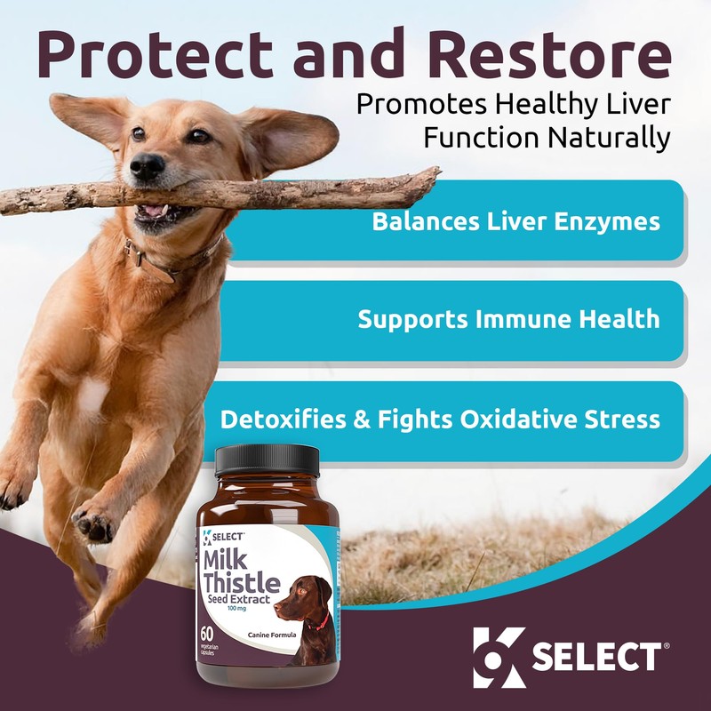 K9 Select Milk Thistle for Dogs, 100mg - 60 Vegetable