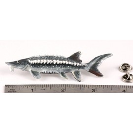 Handcrafted Hand Painted Sturgeon Premium Magnet for Personalizing Home Office School Classroom Fridge Whiteboard Locker - Made in The United States - SKU FP087PRMAG