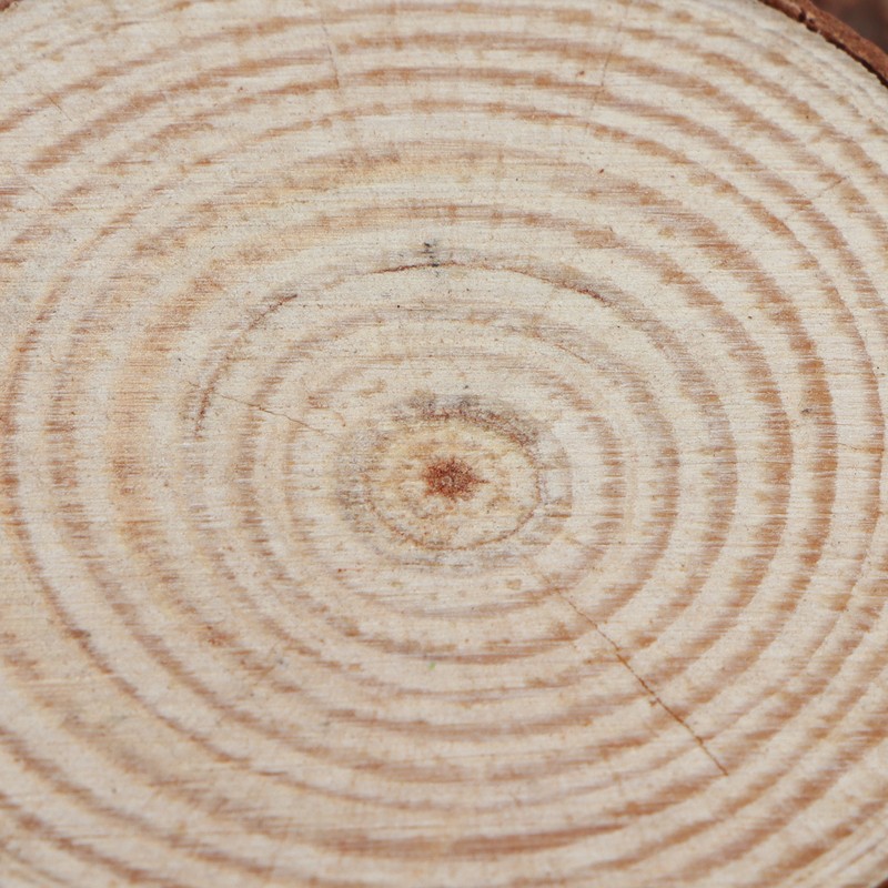 Wood Stakes Cylindrical Pine Log DIY Painting Material Flower Pot