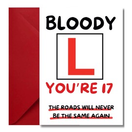 Funny 17th Birthday Card For Girls & Boys Learner Driver Design Perfect For Son Daughter Grandson Granddaughter