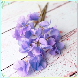 Rare Flower Plant Seeds 50+ Sweet Pea Seeds - Noel Sutton