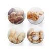 4 x Round Ginger Cat Coasters - Kitten Animals Set