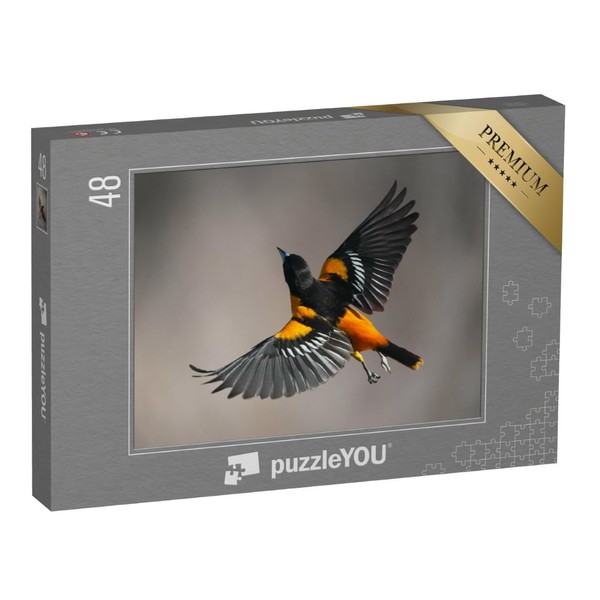puzzleYOU: Baltimore, Oriole, Male in Flight, 48 Piece Puzzle Collection