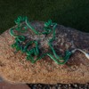 Green LongLife Ming's Mark 8080126 Led Rope Light Lizard Green
