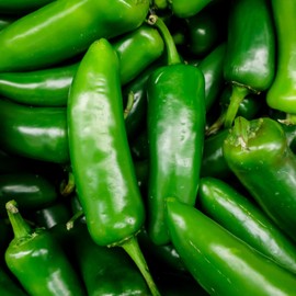 Jalapeno TAM Hot Pepper Seeds, Over 180 Premium Pepper Seeds - Heirloom, Non GMO - Woods Creek Seeds