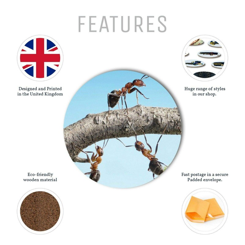 1 x Ant Team Building Together - Round Coaster Kitchen